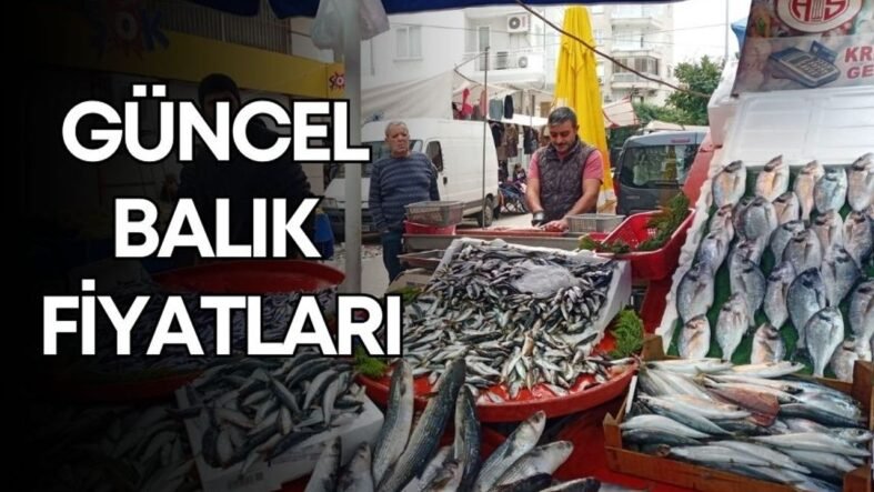 balik-fiyatlari-kasim-manset