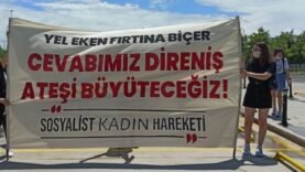 sosyalist-kadin-hareketi-640x296-1