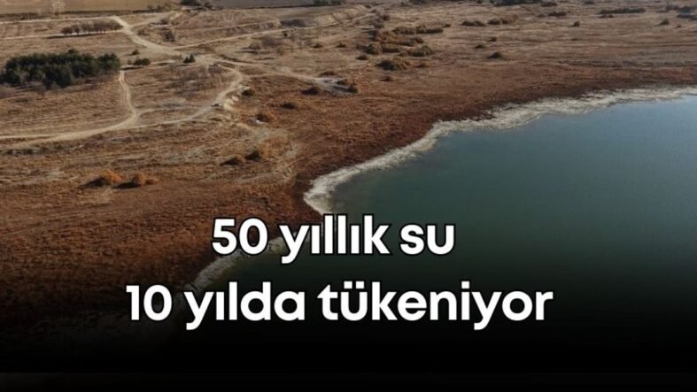 vildan-ozkan-2025-11-28t110316445