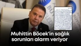 vildan-ozkan-2025-11-28t145923558