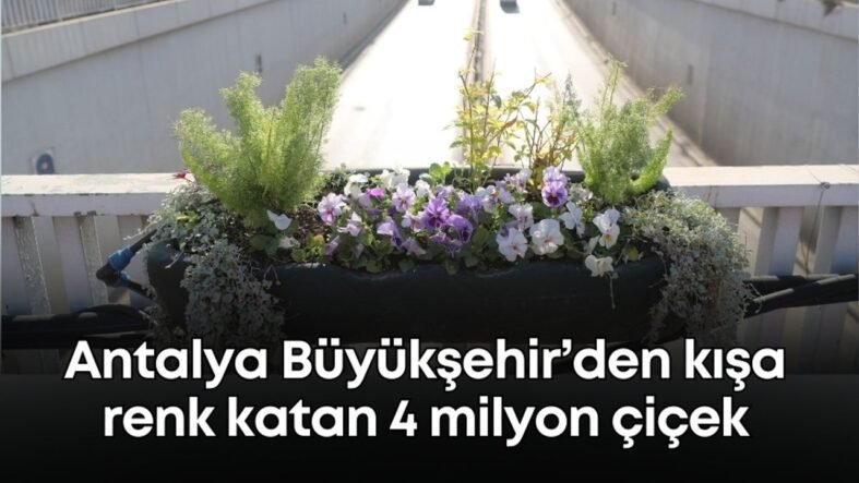 vildan-ozkan-2025-11-30t113409676