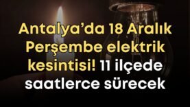 vildan-ozkan-2025-12-17t093558224